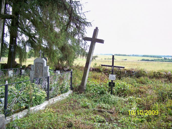 Fot. Z. Skrok