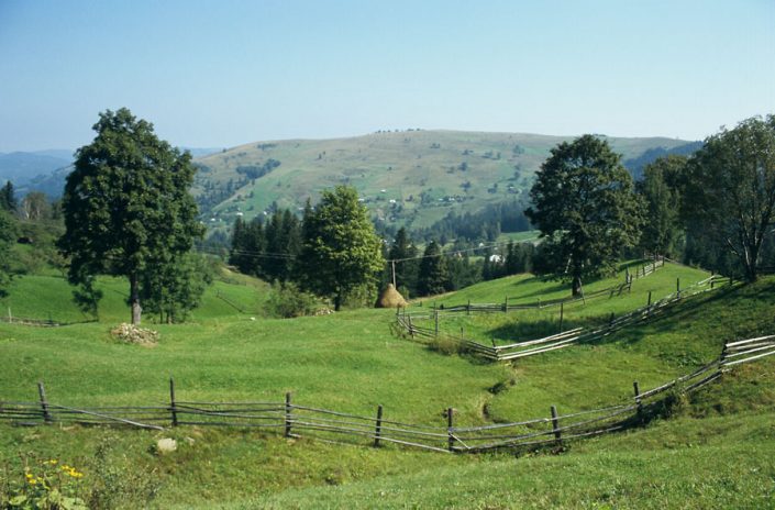 Fot. Grzegorz Rąkowski.