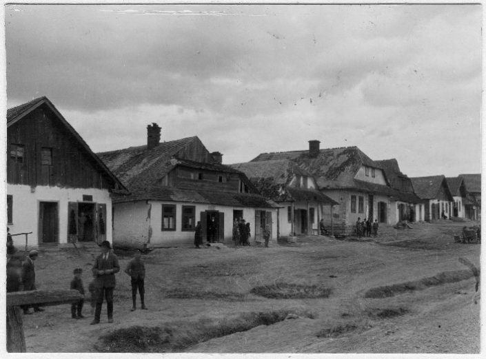 IS PAN R0000026264a Brzozdowce, fot..