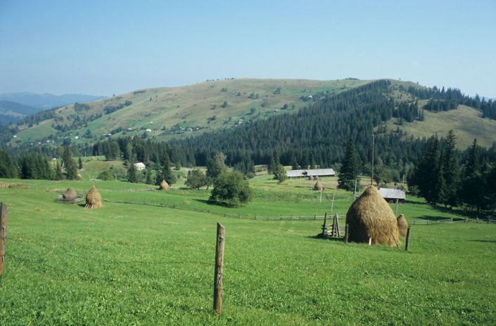 Fot. Grzegorz Rąkowski.