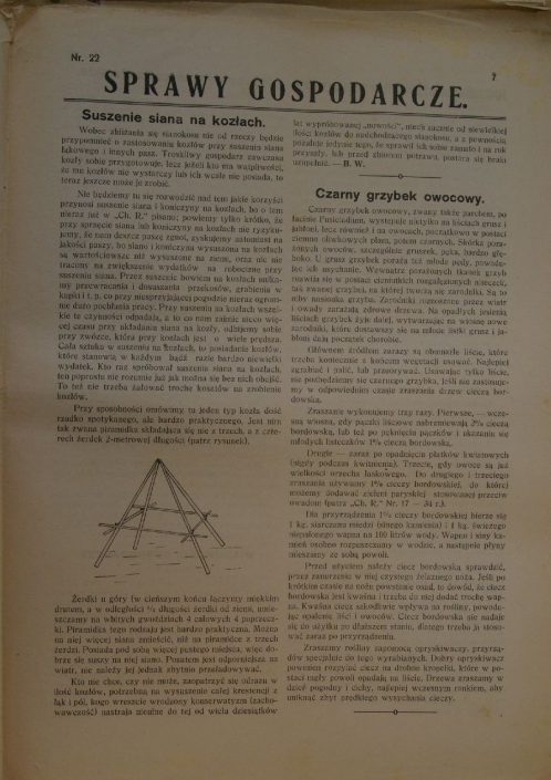 IMGP0383.