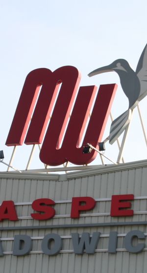Maspex Wadowice, foto: wikimedia.org