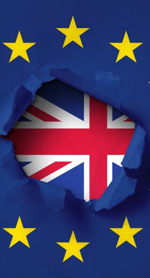 brytyjczyków brytyjskie Twardy Brexit obejmie wspólny rynek i unię celną oszczędności