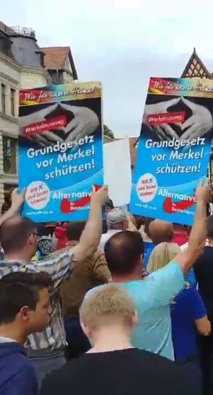 AfD na wiecu Merkel