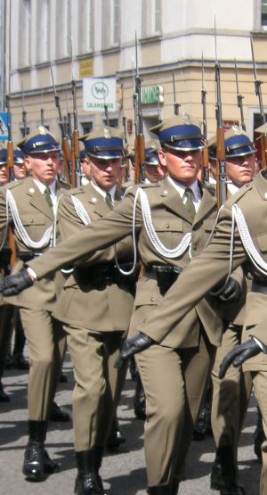 Święto Wojska Polskiego w 2006