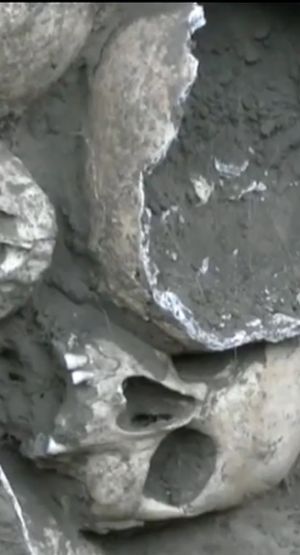 Ukraina: Ukrainiec odkrył w swoim ogrodzie 200 czaszek [+VIDEO]