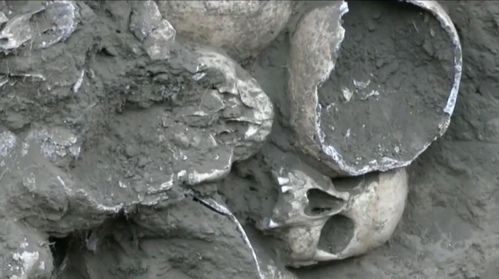Ukraina: Ukrainiec odkrył w swoim ogrodzie 200 czaszek [+VIDEO]