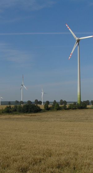 zapotrzebowanie Zagraniczne firmy z branży energetyki wiatrowej zapowiedziały pozew przeciw Polce