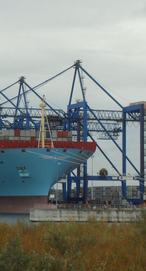 port gdańsk Statek przy terminalu kontenerów DCT Gdańsk