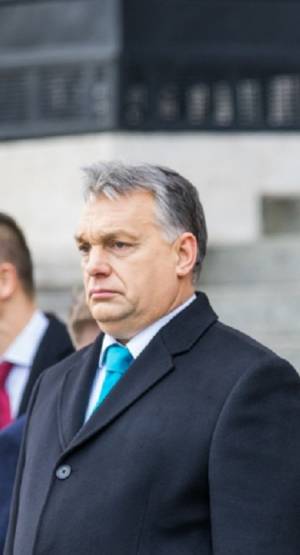 Polski politolog warszawie