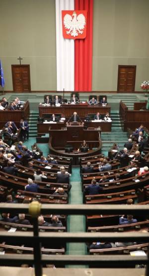 sondaż estymator