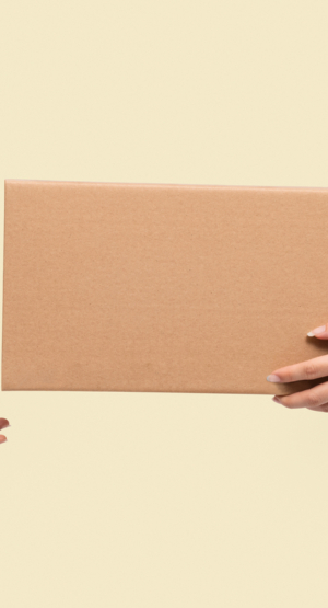 Paper box packaging for delivery concept